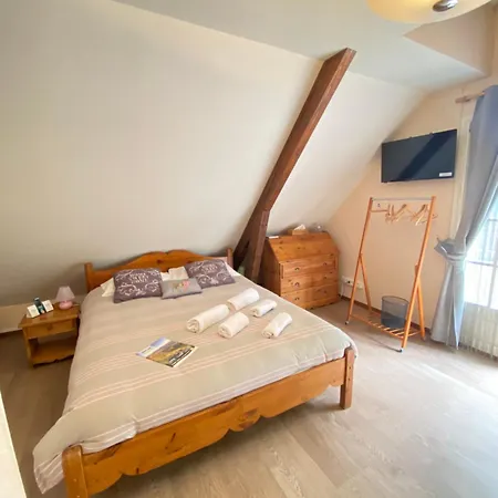 Logis Restaurant Du Bougnat מלון 3*