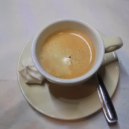 Logis Restaurant Du Bougnat Hotel