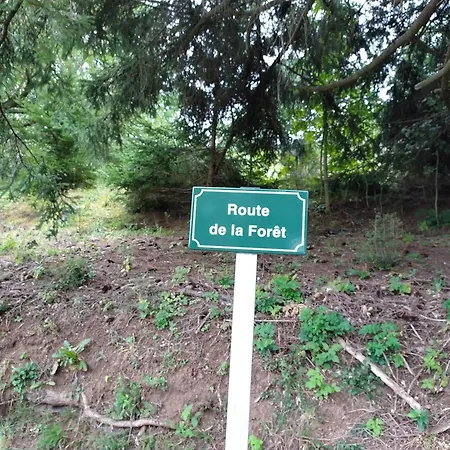 Logis Restaurant Du Bougnat Отель